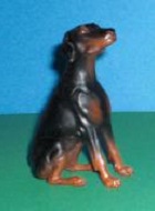 sitzender Dobermann