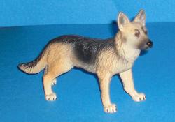 Schäferhund