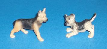 Schäferhundebabys