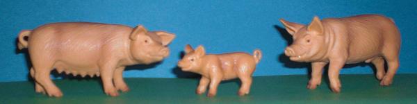 Schwein und Ferkelefamilie