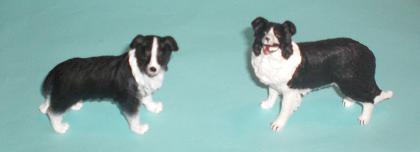 Bordercollie und Collie