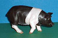 Hllisches Schwein