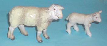Schaf und Merinolamm