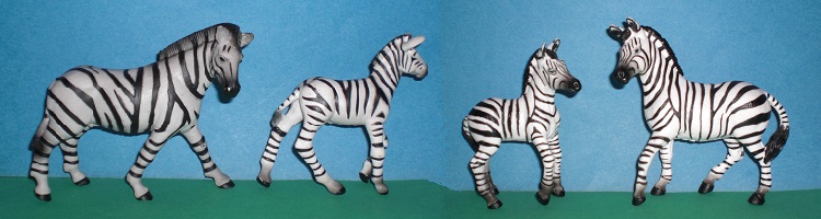 Zebras mit Fohlen