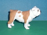 Bulldogge