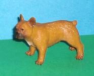 französische Bulldogge