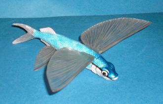 fliegender Fisch