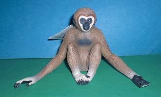 Gibbon