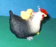 Huhn
