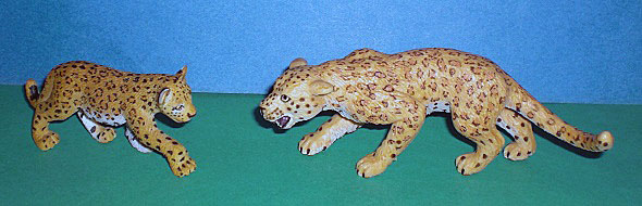 Leoparden
