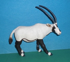 weisses Oryx