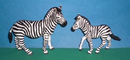 Zebra mit Fohlen