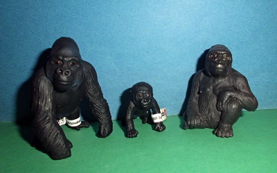 Gorillas