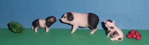 Hllische Mini-Schweine