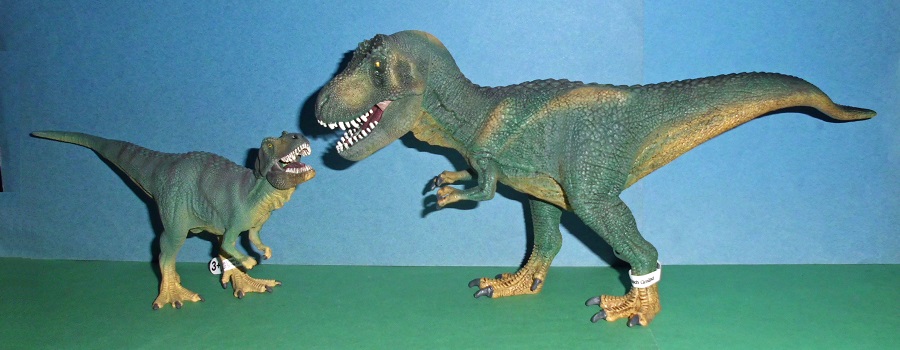 T-Rex+T-Rex Baby