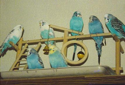 Meine Familie mit Charly