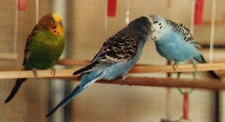 Mit meinem Charly und Strizi