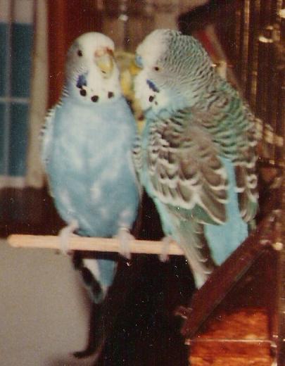 Unsere Eltern Charly und Hxli