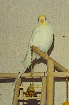 Von vorne