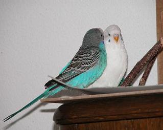 Peppi mit seinem besten Freund Charly