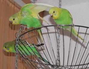 Mit Lea und Leo