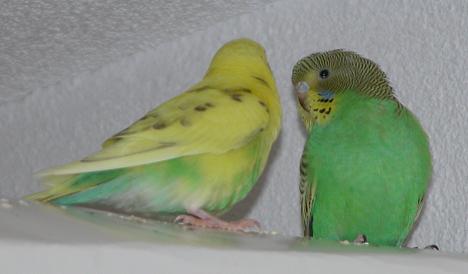 Mit meiner grossen Schwester