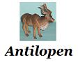 Antilopen und Gazelllen und Gnus