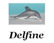 Delfine