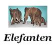 Elefanten