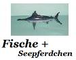 Fische aller Art