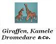 Dromedare, Giraffen andere Kamele