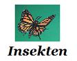 Insekten und Schmetterlinge