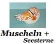 Muscheln