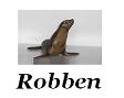 Robben aller Art