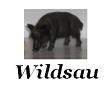 Wildschweine