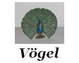 Vgel