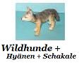 Wilde Hunde, Wlfe etc.