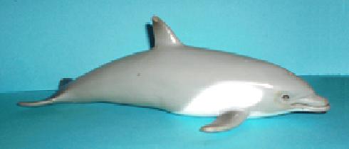 Delfin XXL