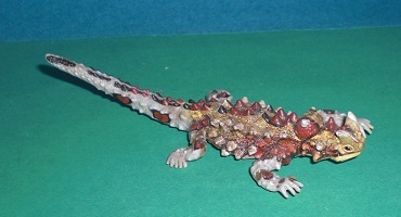 Thorny Devil