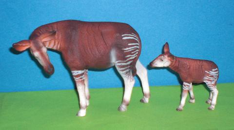 Okapis