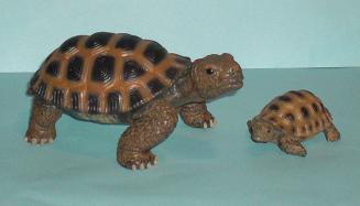 Riesenschildkrte und Baby