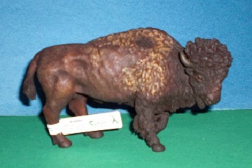 Bison