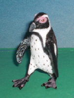 Sdafrikanischer Pinguin