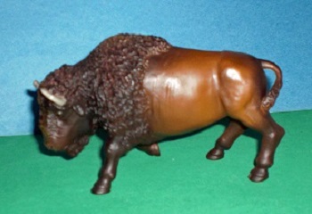 Bison