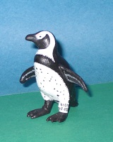 Brillenpinguin