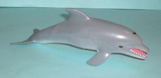 grosser Delfin