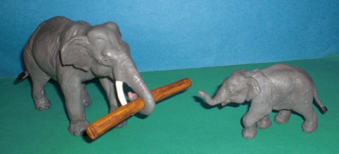 asiatischer Elefant mit Baumstamm