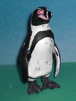 Humboldtpinguin