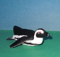 Sdafrikanischer Pinguin