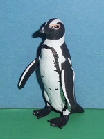 Sdafrikanischer Pinguin